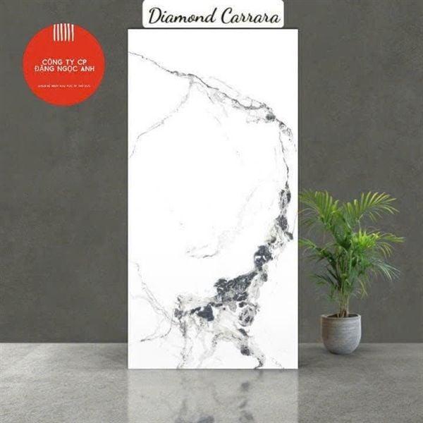  60*120 Diamond Carrara Gạch Đá th/4v/1.44m 