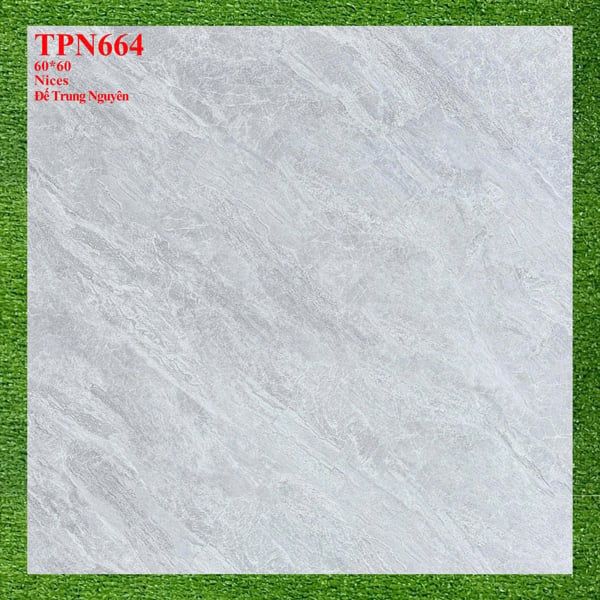  60*60 TPN664 gạch lát nền đá bán sứ (1.44m/4v/th) 