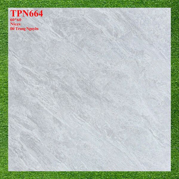  60*60 TPN664 gạch lát nền đá bán sứ (1.44m/4v/th) 