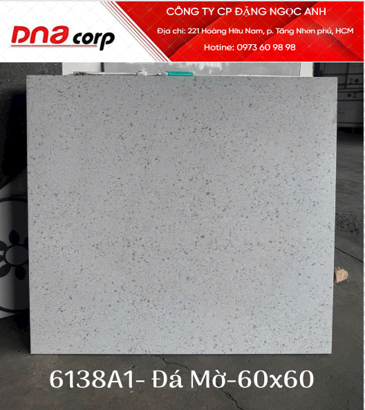  60*60 6138 Gạch lát nền đá mờ á mỹ (1.44m/4v/th) 