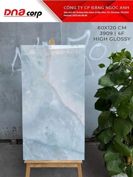  3909 AF Gạch Ấn Độ 60x120 