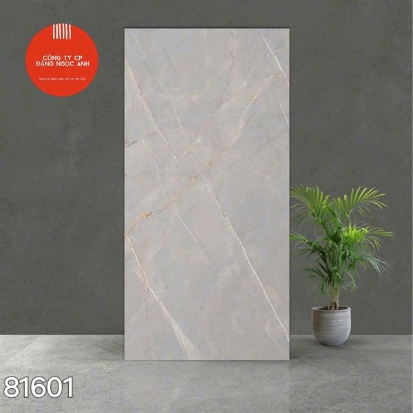  Gạch 81601 Ấn Độ 80×160 