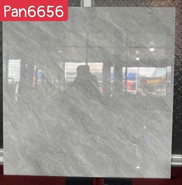  đá bóng kính xám bóng 60*60 1.8/5v/th vnp6656VN 