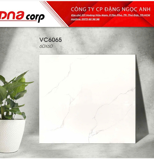  60*60 VC60065 gạch lát nền đá bóng kính Vicenza(1.44m/4v/th) 