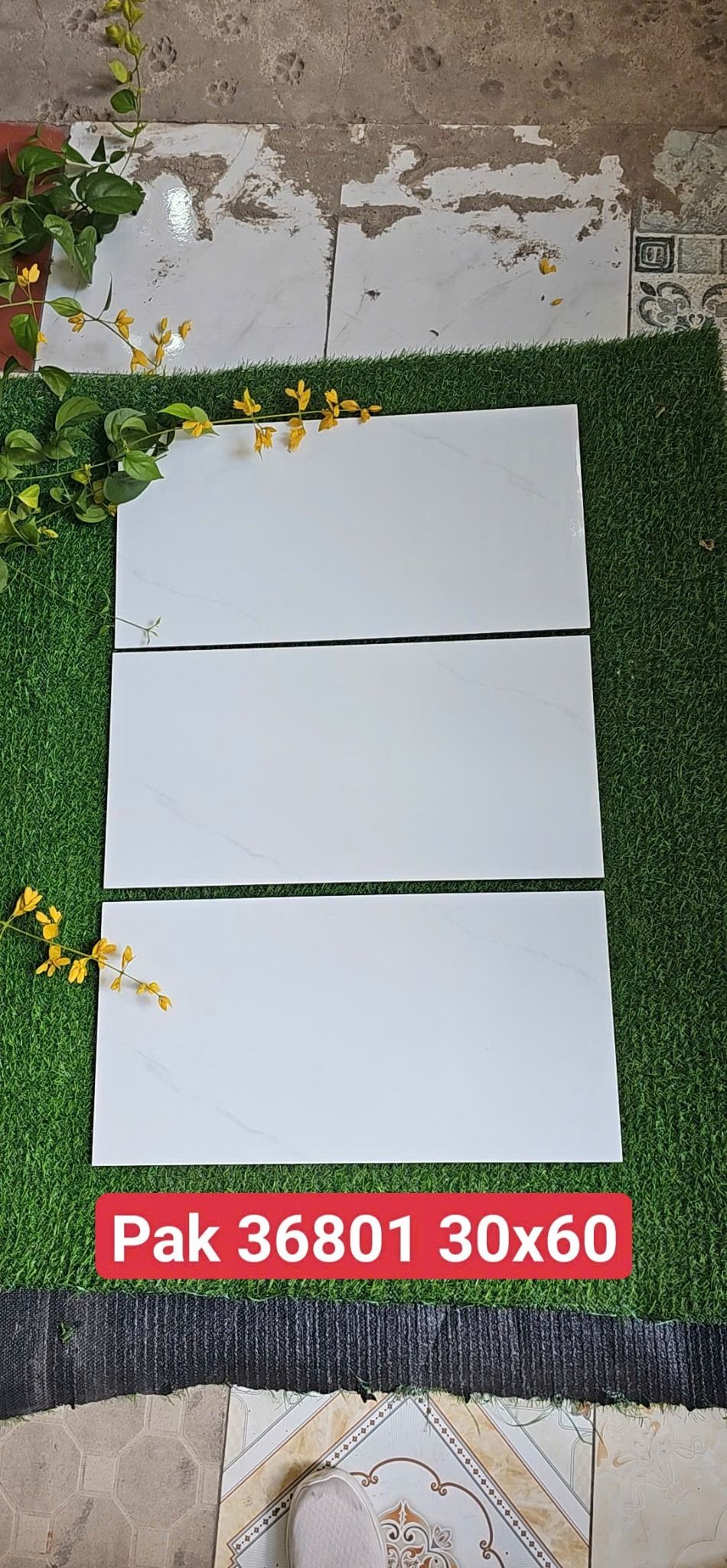  men bóng thân vân mây 30*60 pak th9v/1.62met loại 1 36801dna 