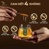  Set Quà Yến 10 Hũ 50G Cao Phẩm 