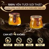  Yến Chưng Saffron - Set 20 Yến Chưng Sẵn Cao Phẩm 