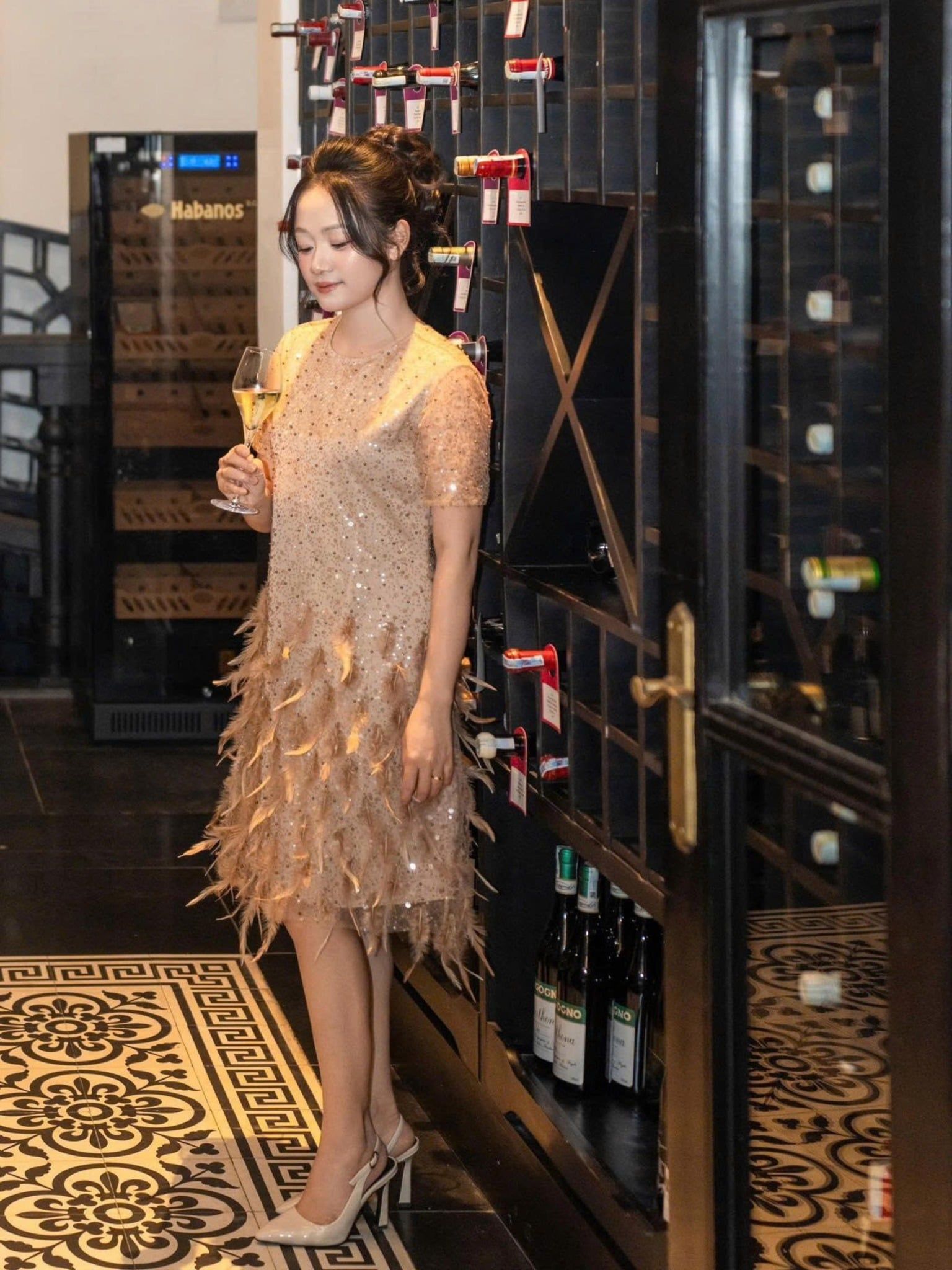  Đầm đính kết lông vũ và hạt | Mauve Mocha dress 