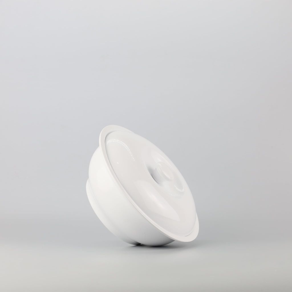 Bowl with lid 12