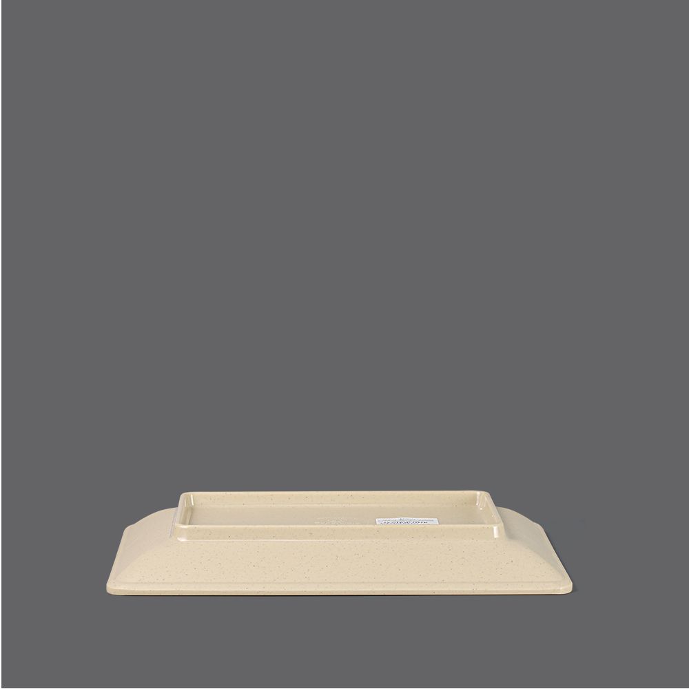 Matte rectangular plate 10