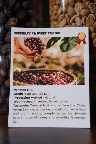  WINEY CẦU ĐẤT | Specialty Coffee - Cà phê Chất lượng đạt chuẩn 