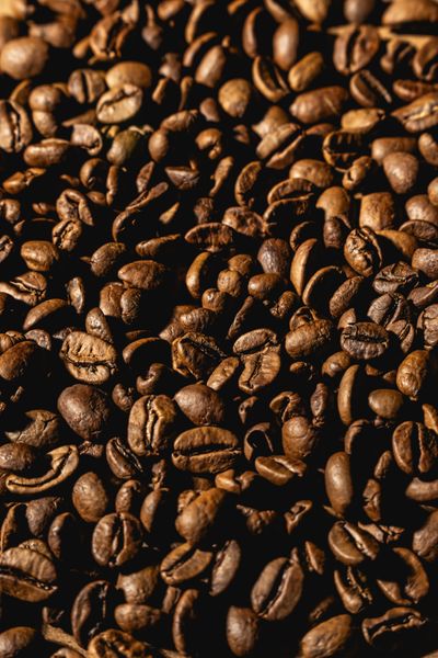  WINEY CẦU ĐẤT | Specialty Coffee - Cà phê Chất lượng đạt chuẩn 