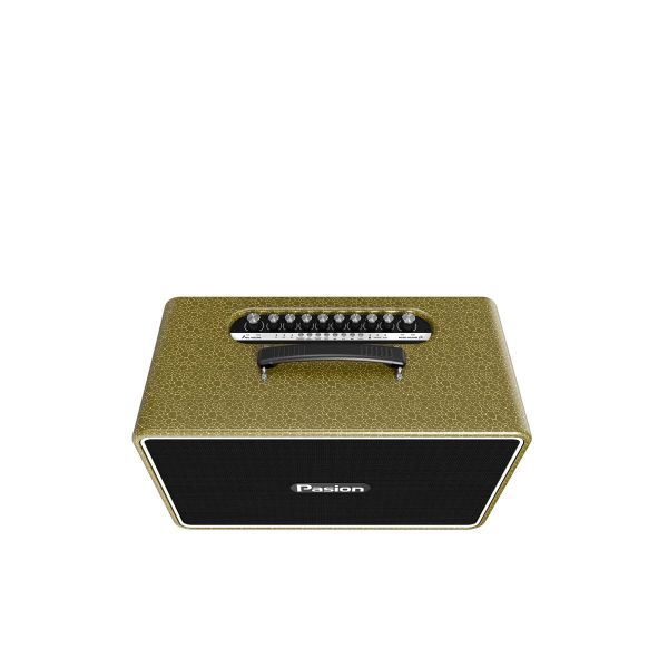  Loa Karaoke PASION Arte - Chính Hãng 