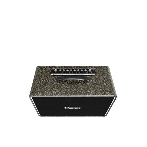  Loa Karaoke PASION Arte - Chính Hãng 