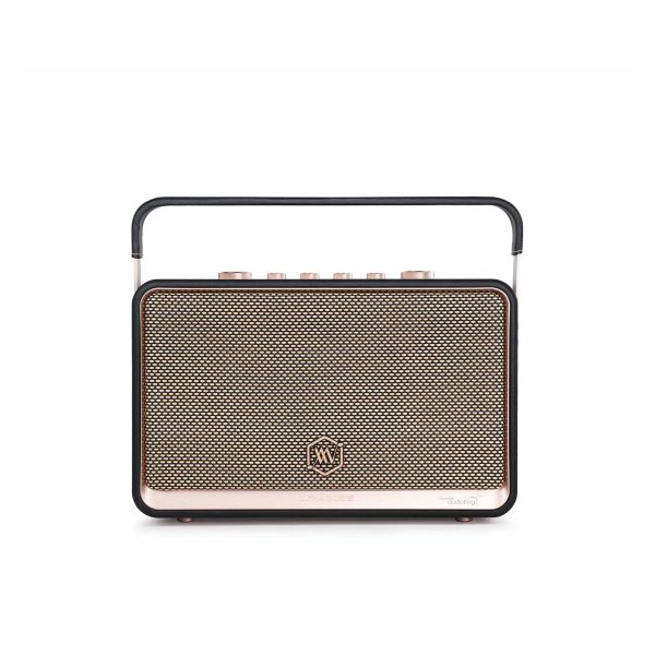  Loa Bluetooth Alpha Works W99 kèm 2 micro 