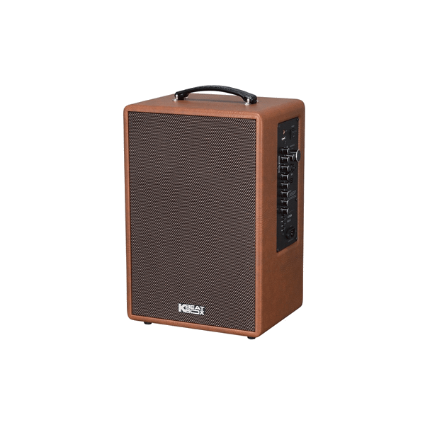  Loa Karaoke Acnos Symphony 