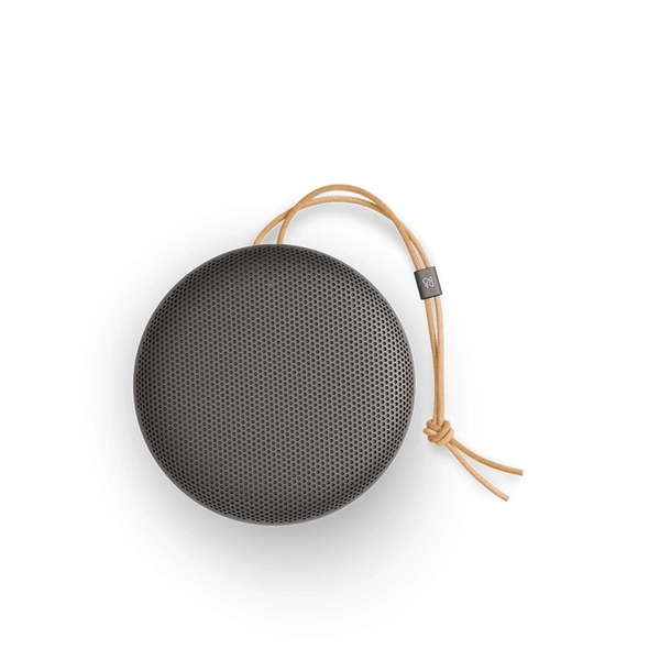  Loa Bang & Olufsen Beosound A1 Gen 3 