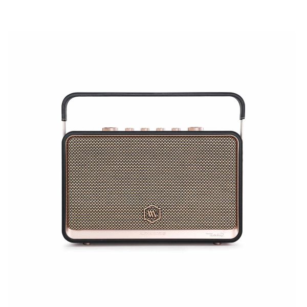  Loa Bluetooth Alpha Works W99 kèm 2 micro 