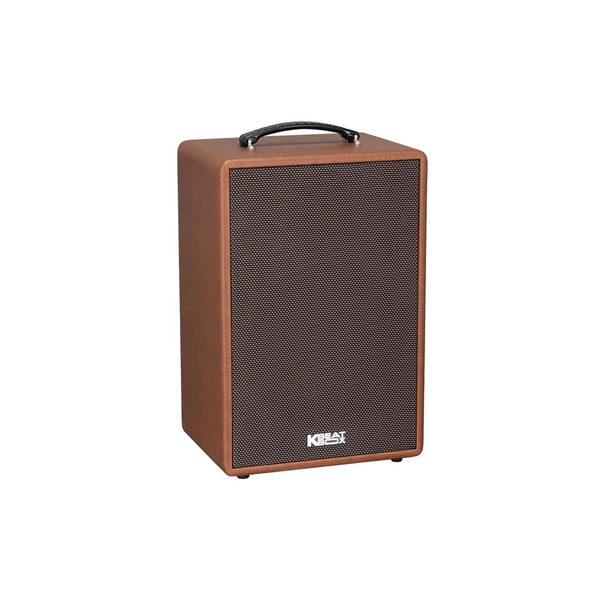  Loa Karaoke Acnos Symphony 