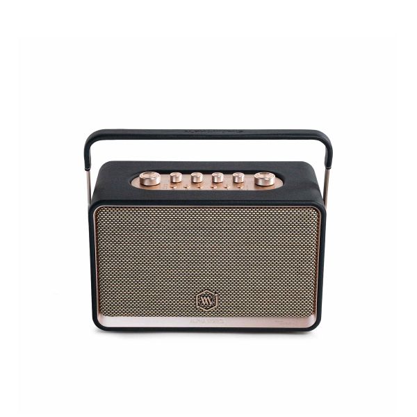  Loa Bluetooth Alpha Works W99 kèm 2 micro 