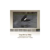  Máy ảnh Sony Alpha A7R Mark VI - Chính hãng / ILCE-7RM6 