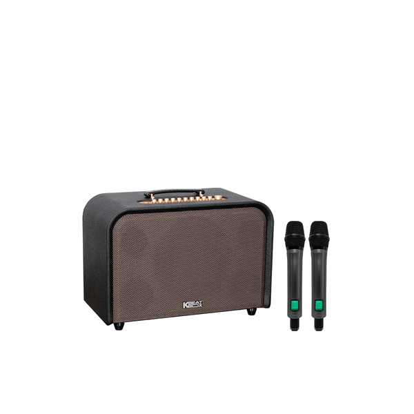  Loa Karaoke Acnos Harmony 