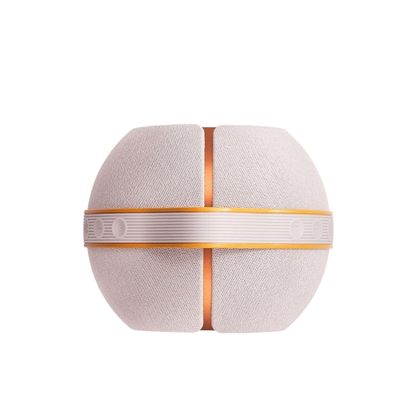  Loa Devialet Mania Rose Bloom 