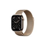  Apple Watch Series 11 46mm (GPS + Cellular) Viền Titan Dây Thép size S/M/L 