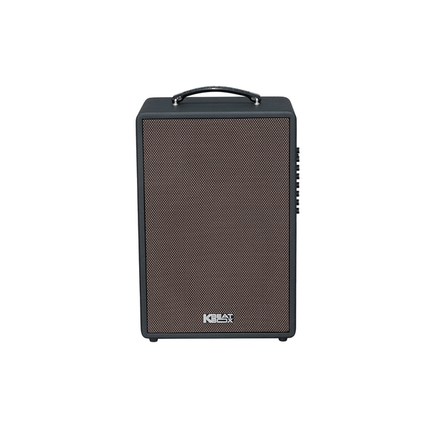  Loa Karaoke Acnos Symphony 