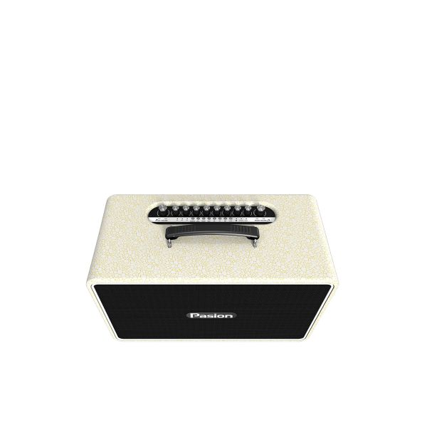  Loa Karaoke PASION Arte - Chính Hãng 