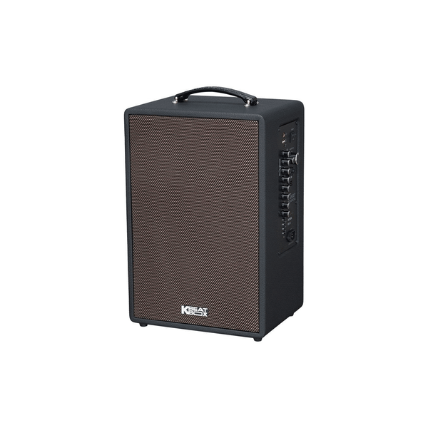  Loa Karaoke Acnos Symphony 