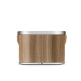  Loa Bang & Olufsen (B&O) Beosound A5 