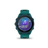  Đồng hồ Garmin Forerunner 170 Music 