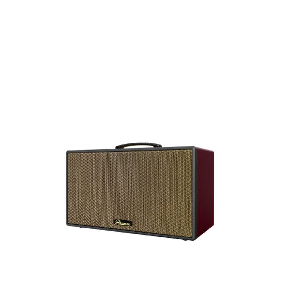  Loa Karaoke Paramax Aura 