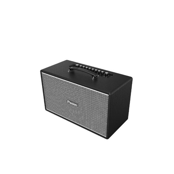  Loa Karaoke Paramax Pasion Enzo 