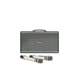  Loa Karaoke Paramax Pasion Enzo 