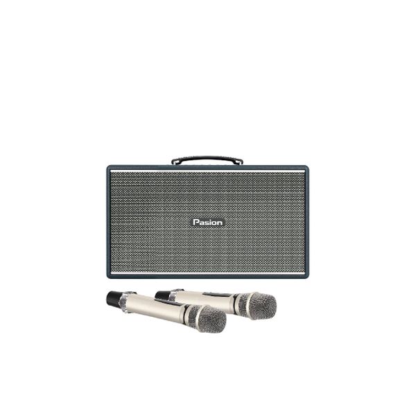  Loa Karaoke Paramax Pasion Enzo 