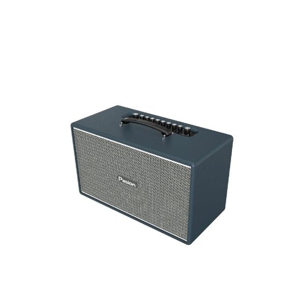  Loa Karaoke Paramax Pasion Enzo 