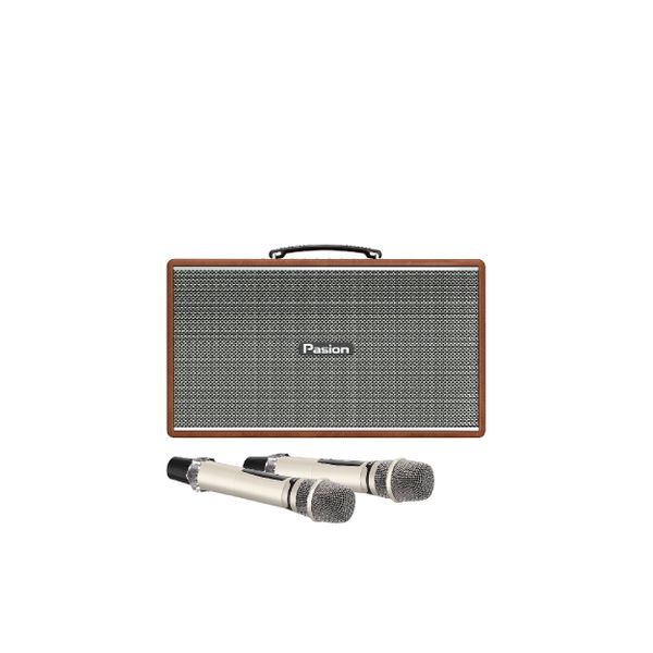  Loa Karaoke Paramax Pasion Enzo 