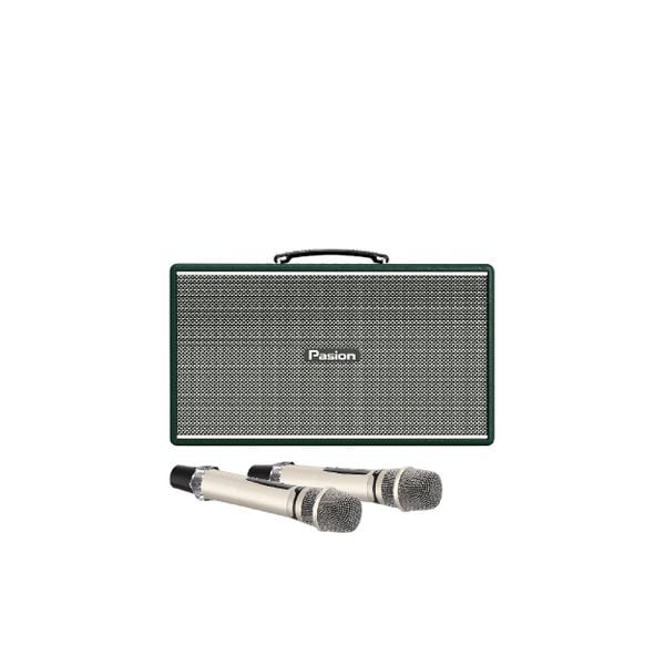  Loa Karaoke Paramax Pasion Enzo 