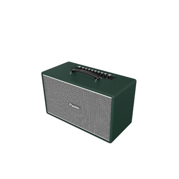  Loa Karaoke Paramax Pasion Enzo 