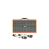  Loa Karaoke Paramax Pasion Enzo 