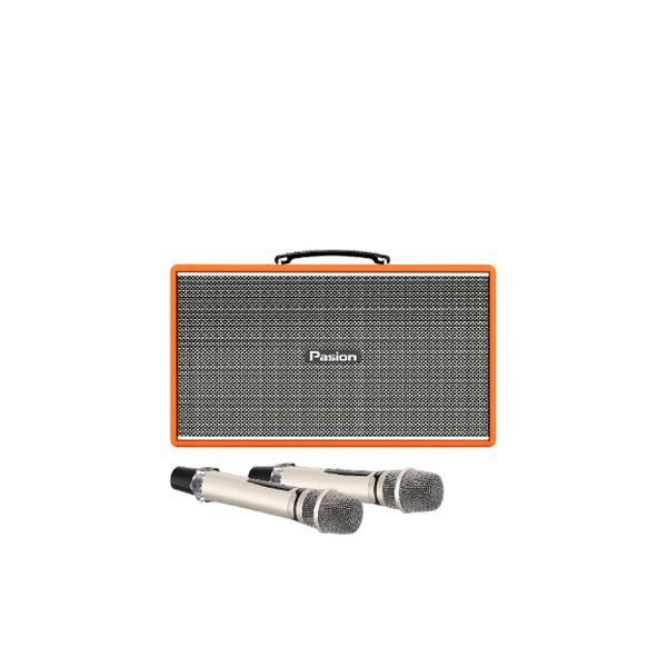  Loa Karaoke Paramax Pasion Enzo 