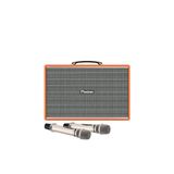  Loa Karaoke Paramax Pasion Mozo 