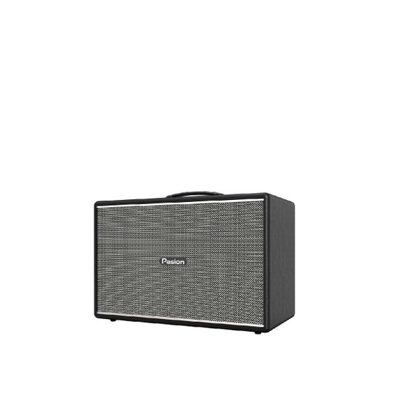  Loa Karaoke Paramax Pasion Mozo 