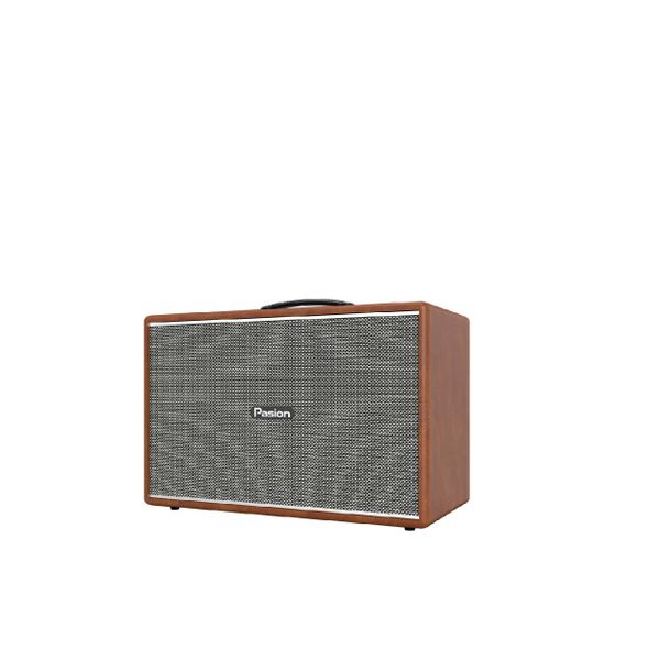  Loa Karaoke Paramax Pasion Mozo 