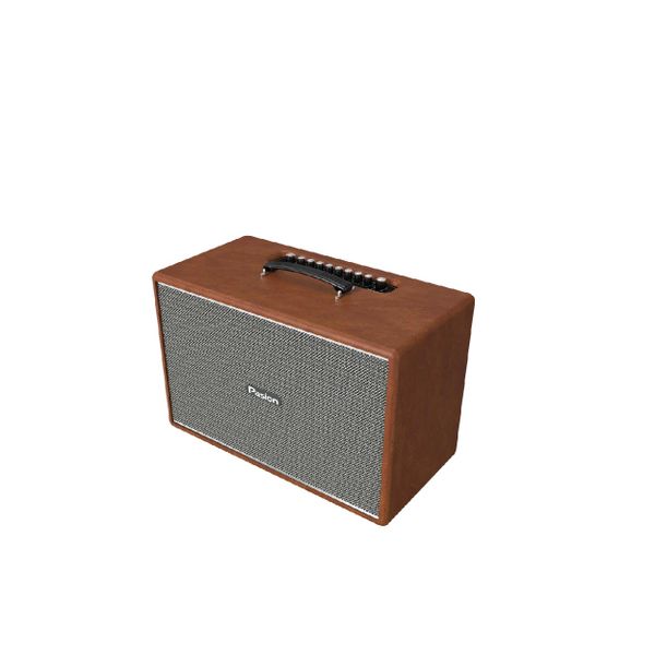  Loa Karaoke Paramax Pasion Mozo 