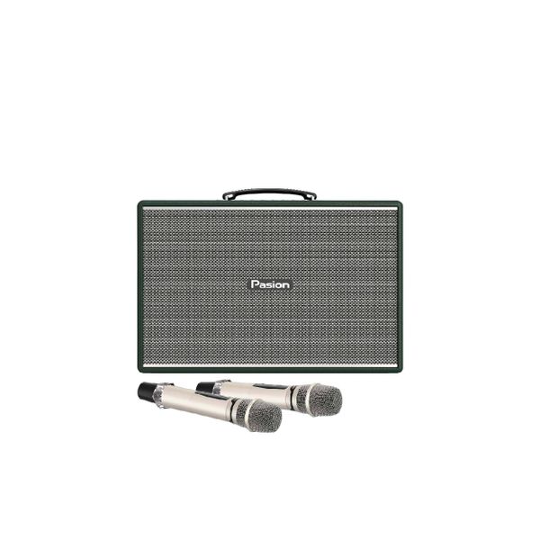  Loa Karaoke Paramax Pasion Mozo 