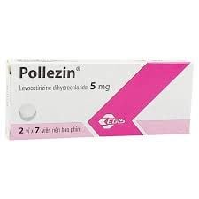 POLLEZIN 5mg (Hộp 2 vỉ x 7 viên)
