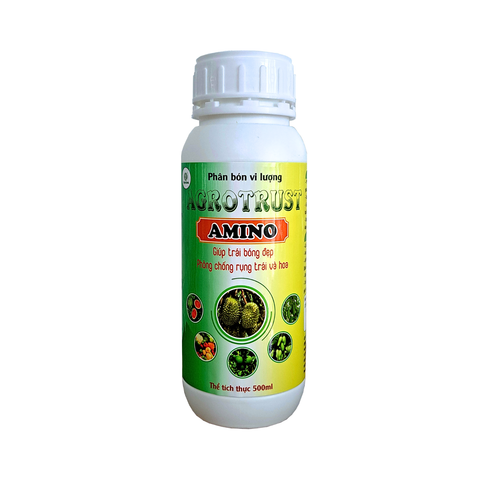  AMINO 